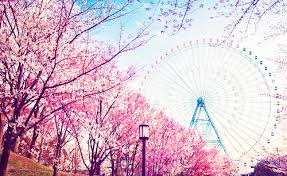 Résultat de recherche d'images pour "tumblr photography beautiful"