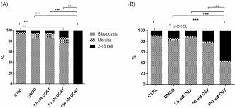 9219 e sun lakes blvd s, sun lakes, az 85248. Glucocorticoid Receptor Isoforms And Effects Of Glucocorticoids In Ovulated Mouse Oocytes And Preimplantation Embryos