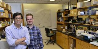 The length of time during and after treatment that the cancer does not grow or spread further. Will Zinc Be An Element Of Future Cancer Treatment What S Up At Upstate Suny Upstate Medical University