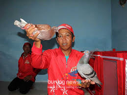 Sie suchen den günstigsten flug? Hs Team Di Sonorejo Makmur Superman Rajai Kelas Pb Dewi Asmoro Masuk Pembalap Tercepat Di Kelas Utama Burungnews