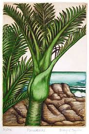 Mary Taylor Punakaiki Etching And Fine Art Print In 2020 Nz Art New Zealand Art Tree Art