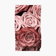 Rose gold aesthetic wallpaper iphone. Poster Roses Vintage Par Medly In 2021 Rose Gold Wallpaper Flower Wallpaper Iphone Flower Wallpaper