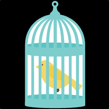 Check out our list of free svg & png downloads! Bird In Bird Cage Svg Files For Cutting Machines Bird Svg File Birdcage Svg File Free Svgs