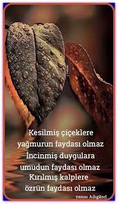 Hulya Bayram Adli Kullanicinin Ruh Halime Gore Sozler Panosundaki Pin Hoslanma Sozleri Bilgece Sozler Ozlu Sozler