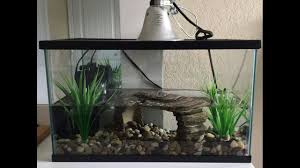 Turtle Tank Setup Youtube