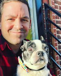 Boston Terrier Philly