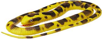 Burmese python (python molurus bivittatus) with open mouth by mannes fotos gfdl v1.3. Buy Wild Republic Rubber Snake Burmese Python Yellow 72 Inch Online At Low Prices In India Amazon In