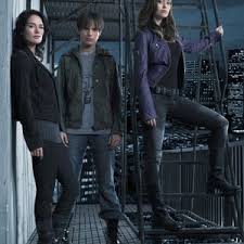 The sarah connor chronicles is a television series launched in 2008 picking up the story of sarah and john connor following the events of terminator 2: Terminator The Sarah Connor Chronicles Rotten Tomatoes