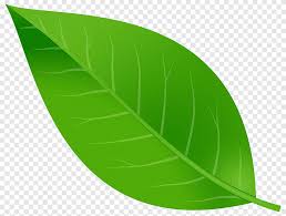 Maybe you would like to learn more about one of these? Warna Daun Daun Hijau Biru Musim Gugur Warna Daun Png Pngegg