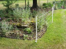 The dog must wear a collar that communicates with the wire. Electric Fencing For Dogs Electric Fencing Direct