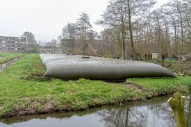 Afbeeldingsresultaat voor margreet van de griend