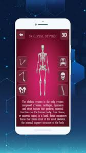 The basic parts of the human body are the head, neck, torso, arms and legs. 3d Female Anatomy For Android Apk Download