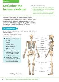 Key Stage Three Science Student Book 2 By Collins Issuu