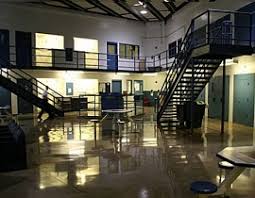 Louisiana Inmate Search Inmate Locator Locatorinmate Com Louisiana Prison Inmate Search Pg 150 In 2020 Inmate Search Inmate Locator Plaquemines Parish
