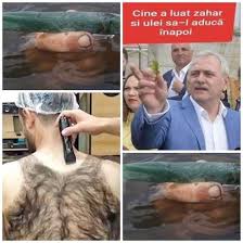 Politicianul a primit o condamnare definitivă la trei ani și jumătate în dosarul angajărilor fictive, dar ar putea cere eliberarea. Faze Tari Cele Mai Bune Glume Si Meme Uri Cu Liviu Dragnea La PuscÄƒrie Cum AratÄƒ TanÄƒra Arbitru De Fotbal Pe Care JucÄƒtorii Au Trimis O SÄƒ Se Prostitueze Erau AdolescenÈ›i Aveau Un Copil