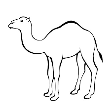 The resolution of this file is 1028x1028px and its file size is: Camel Black White Isolated Illustration Royalty Free Cliparts Vectors And Stock Illustration Image 52898597