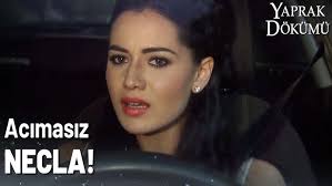 Hayriye, Necla'dan Azar İşitiyor!
