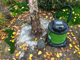 Start by getting your lawn or garden soil tested to determine its ph. Wood Ash From Fireplaces Stoves Can Sometimes Help The Soil