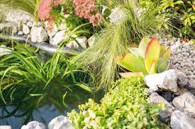 Immergrüne pflanzen für den außenbereich. Gartenteich Bepflanzen Alles Zu Teichpflanzen Obi