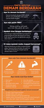 Tindakan ini perlu dilakukan secara teratur. Segala Hal Yang Perlu Diketahui Tentang Demam Berdarah Dengue Dbd