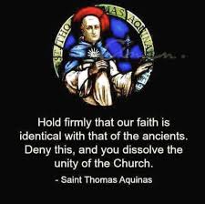 Pin By Madison S On Catholic In 2020 Catholic Quotes Saint Thomas Aquinas Faith Quotes