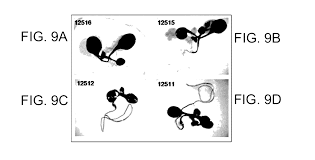 A keter scp does not mean the scp is dangerous, just that it is simply very difficult or costly to contain. Us9493785b2 Isolated Polynucleotides And Polypeptides And Methods Of Using Same For Increasing Plant Yield Biomass Growth Rate Vigor Oil Content Abiotic Stress Tolerance Of Plants And Nitrogen Use Efficiency Google Patents