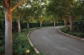 The plants themselves may cause problems as well; Top 60 Best Driveway Landscaping Ideas Home Exterior Designs
