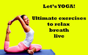 Que puedes practicarlo en cualquier lugar. Yoga Para Principiantes Yoga En Casa For Android Apk Download