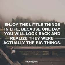 Enjoy The Little Things In Life For One Day You Will Realize 