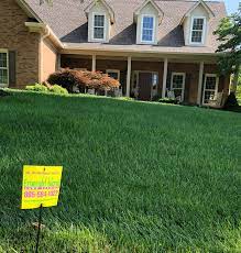 I am very grateful for emerald lawn care. Lawn Care Mosquito Control Services Near Me Emerald Island