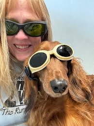 Teddy's recovery from ivdd stage 4