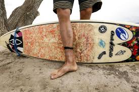 5 out of 5 stars. Shark Bite Is Man S Third Attack By Wild Animal Western Colorado Gjsentinel Com