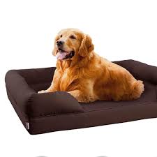 Never again will your dog be content to sleep on the floor, when they have a comfy bed that looks just. 15 Best Dog Beds Popular Beds For Large And Small Pups