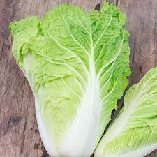 We did not find results for: Chinese Cabbage Seeds Michihili Vegetable Seeds In Packets Bulk Eden Brothers