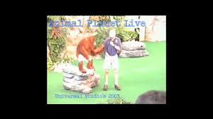 Brady guest starred as julius rock's gifted younger brother, louis, in the television series, everybody hates chris. Beetlejuice Graveyard Revue Universal Studio S Orlando 2003 Youtube