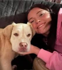 this is our dog Goldie. She's been missing for about five hours now near  Clevet Springs Road and country Lane area. If anyone has seen her or picked  her up, please let