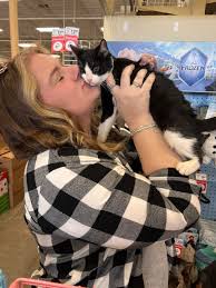 Forgotten Felines...