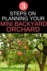 This is not the stuff that you get from the chain stores, home improvement places, and mail order catalogs. 3 Steps On Planning Your Mini Backyard Orchard Start Planning Your Fruit Trees Now And Soon You Will Be Ma Fruit Trees Backyard Fruit Tree Garden Fruit Trees