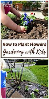 How To Plant Flowers Organic Gardening With Kids Planting Flowers Gardening For Kids Gardening Diy Kids