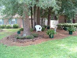 Landscaping Under Large Pine Trees Landscaping Around Trees Landscape Trees Garden Trees
