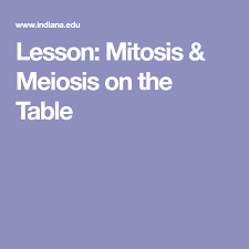 Lesson Mitosis Meiosis On The Table Mitosis Meiosis Meiosis Mitosis