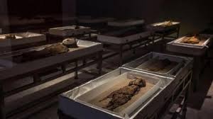 Maybe you would like to learn more about one of these? Msy2y1kqp3xgkm