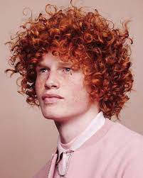 40 Eye Catching Red Hair Men S Hairstyles Ginger Hairstyles Red Hair Men Hairstyle Gallery Curly Hair Fade