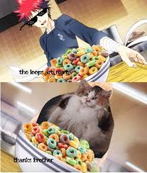 20 Cats Wanting Fruit Loops Memes For The Hungry Brothers Memebase Funny Memes