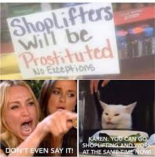 Pin On Smudge The Cat Memes