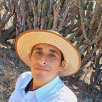 800+ "Peláez" profiles