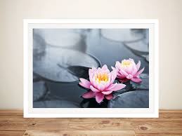 The lotus flower grows in muddy water and rises above the surface to bloom with amazing beauty. Floating Lotus Flowers Floral Canvas Art Print