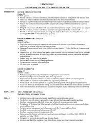 obiee developer resume samples velvet