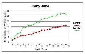 Diamond Dove Home Page Growth Of Two Babies
