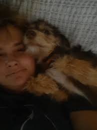 Happy Tails Kennels, LLC.